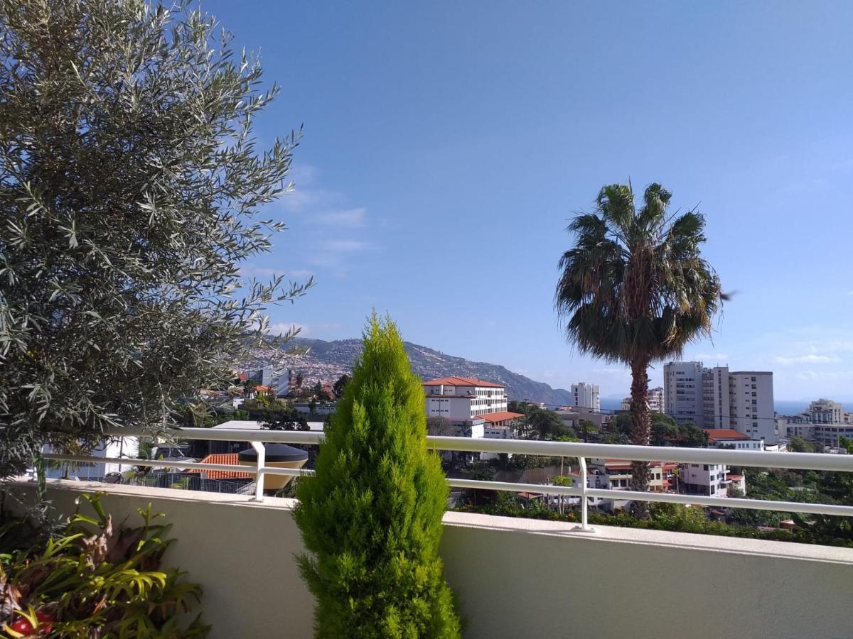 Mericia'S Gorgeous View 丰沙尔 外观 照片